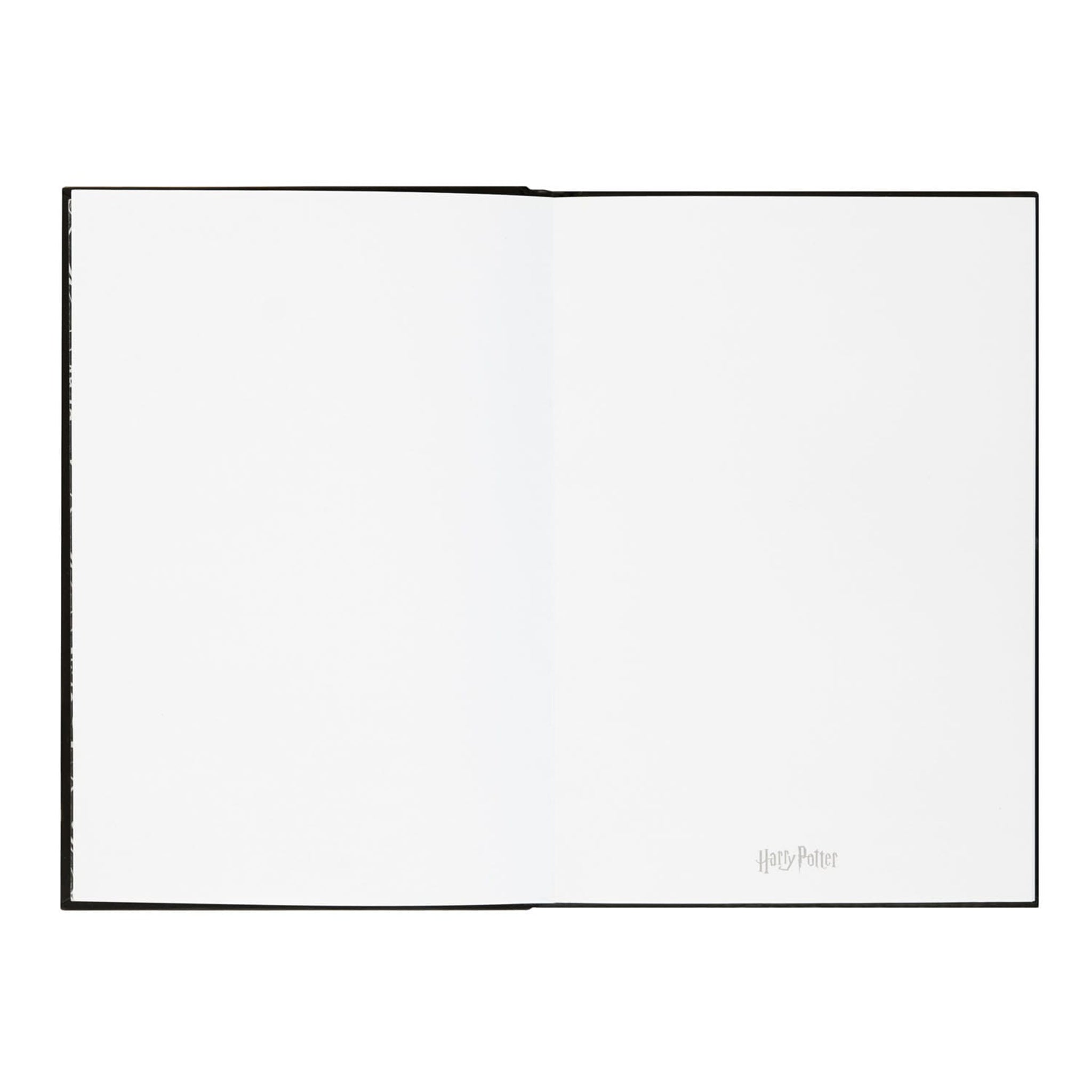 Harry Potter Lumos - Premium Notizbuch A5 mit Licht