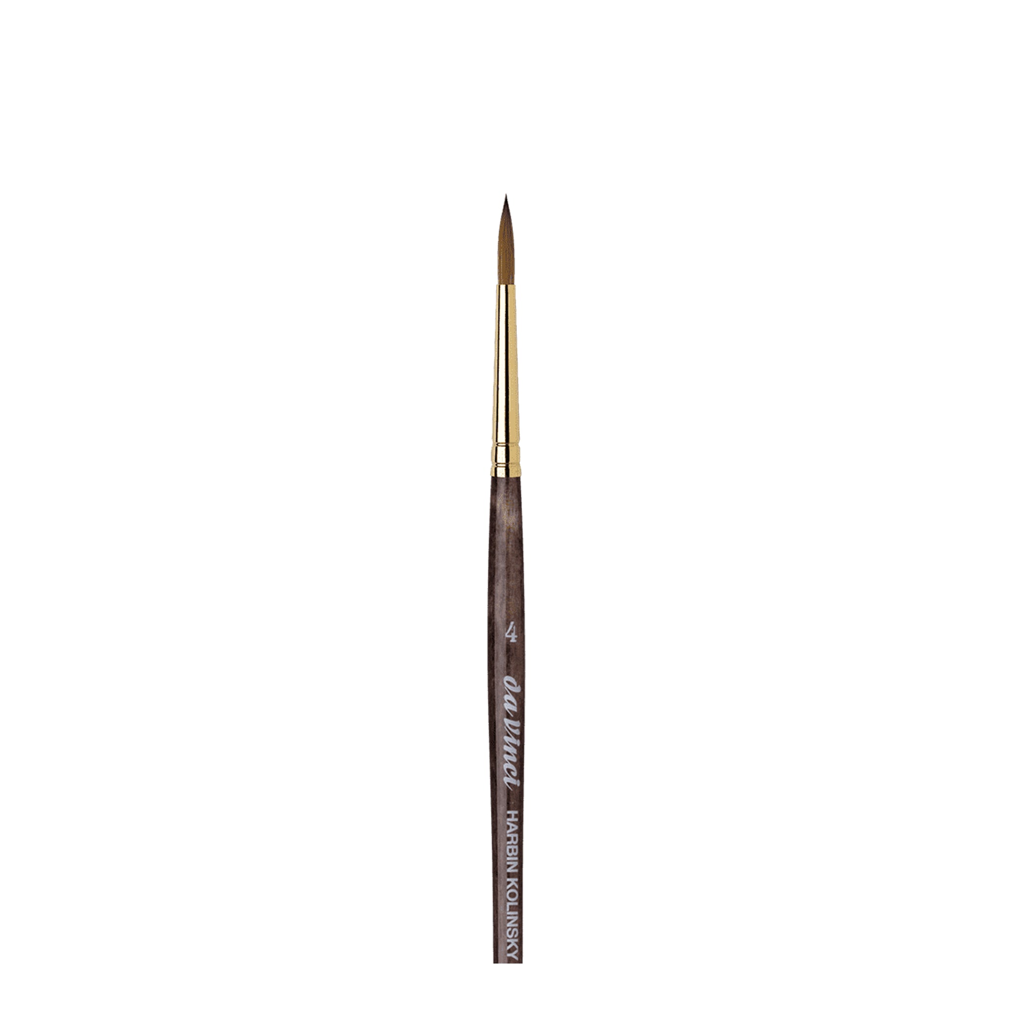 Rotmarder - Serie 1526Y - da Vinci 4